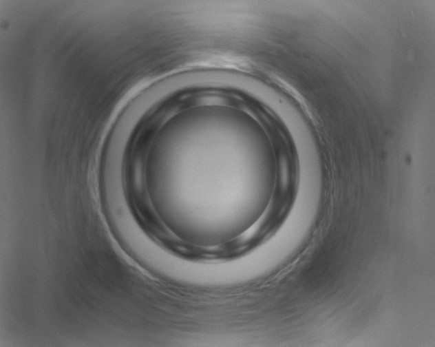 X0000051901471200506241402
