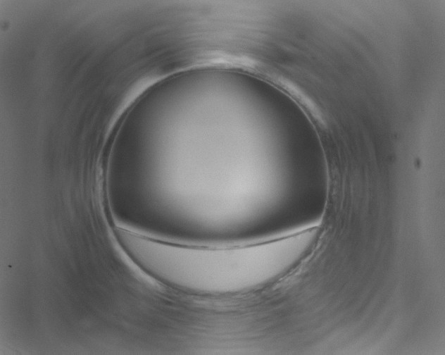 X0000051901476200506241402