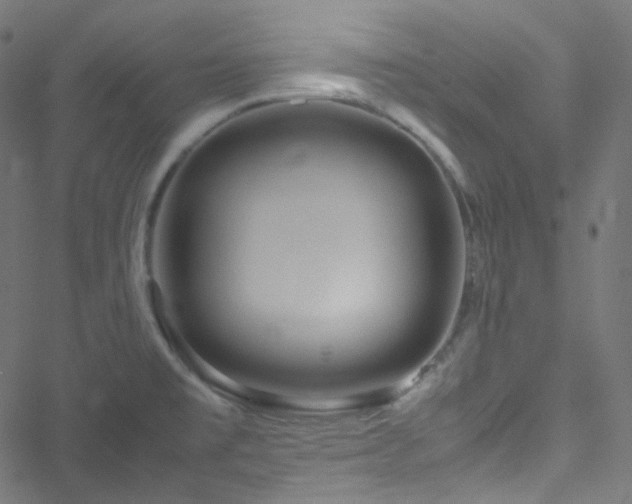 X0000051901477200506241402