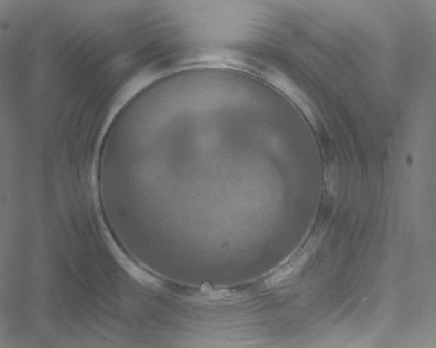 X0000051901482200506241401