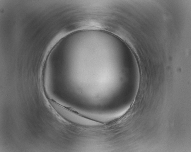 X0000051901488200506241401