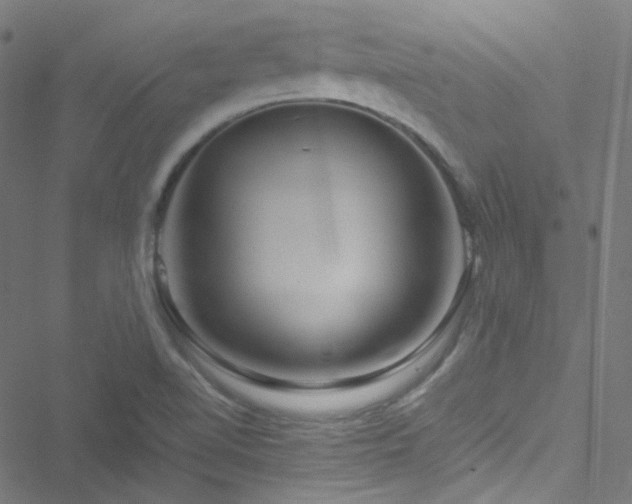 X0000051901510200506241401