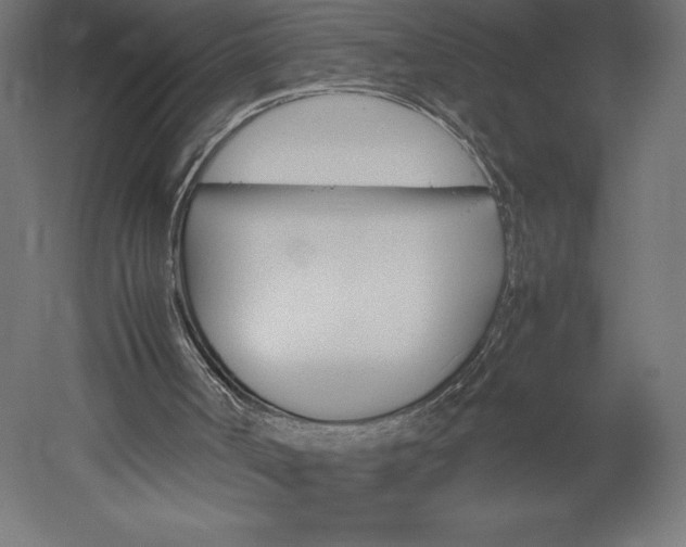 X0000051900002200507011519