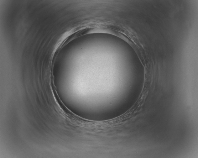 X0000051900003200507011519