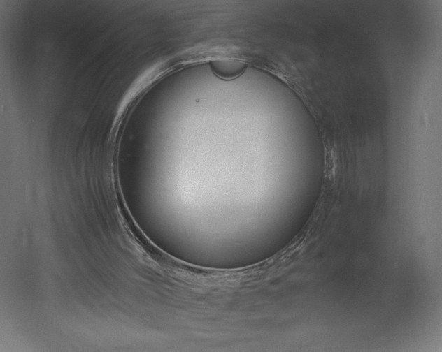 X0000051900004200507011519
