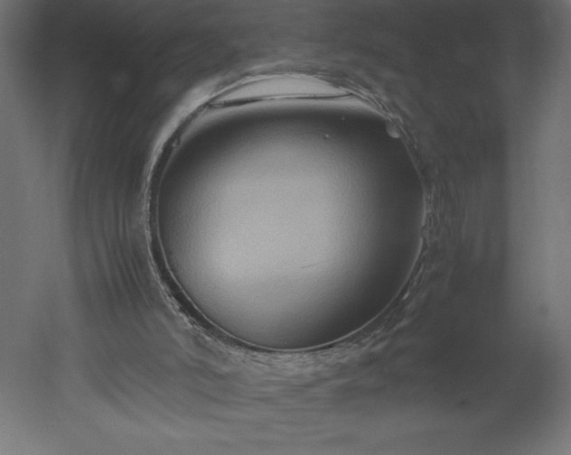 X0000051900006200507011519