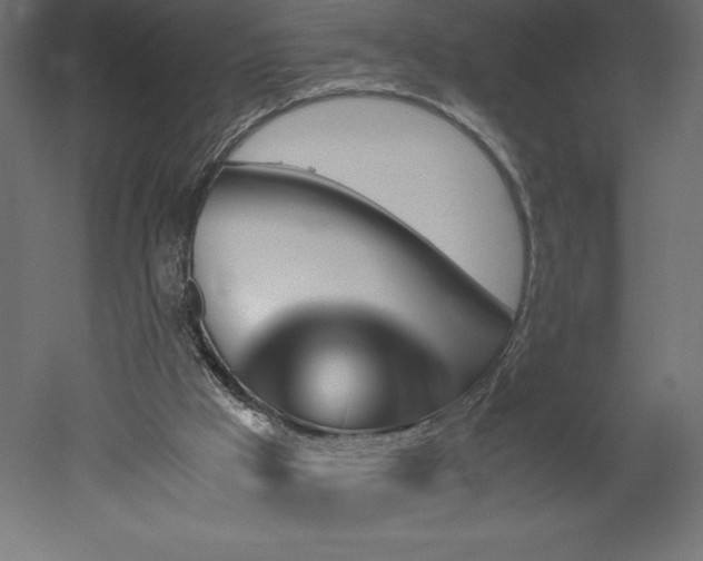 X0000051900009200507011519