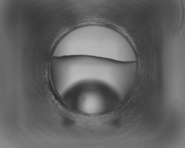 X0000051900010200507011519