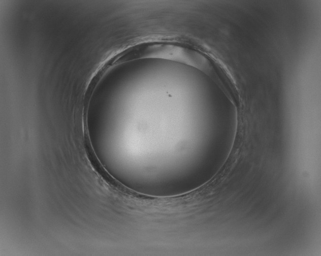 X0000051900011200507011519
