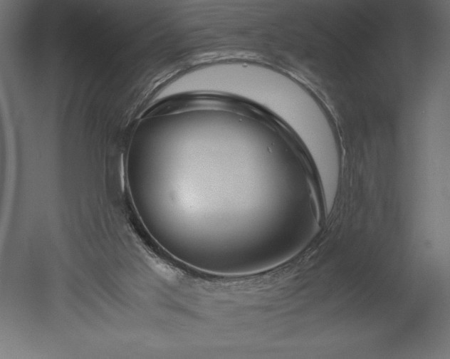 X0000051900013200507011519