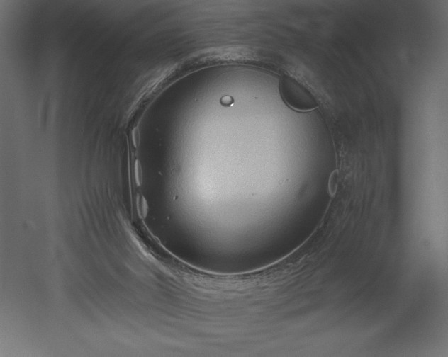 X0000051900014200507011519