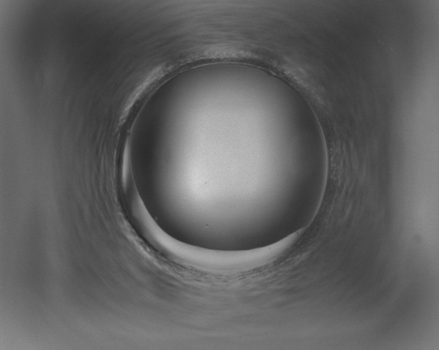 X0000051900015200507011519