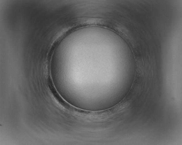 X0000051900016200507011519