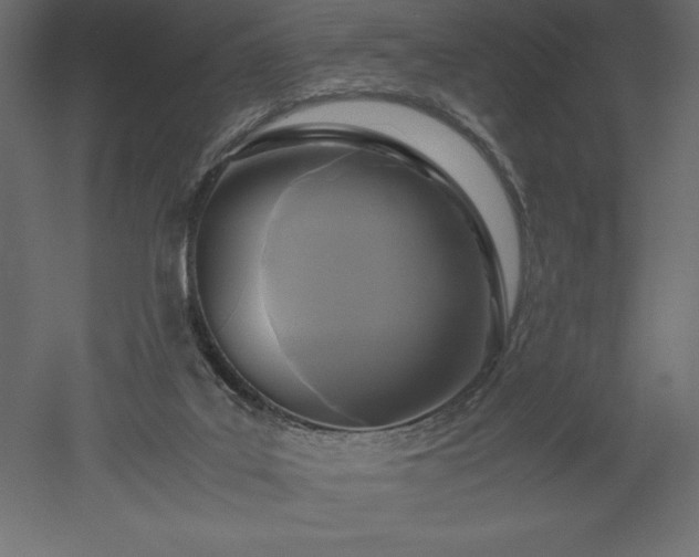 X0000051900019200507011519