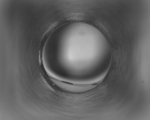 X0000051900020200507011519