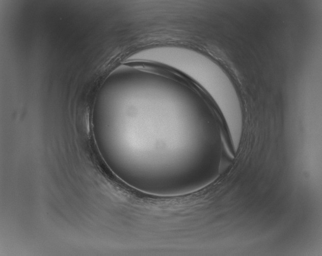 X0000051900021200507011519