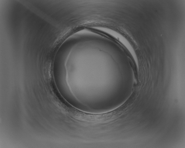 X0000051900023200507011519