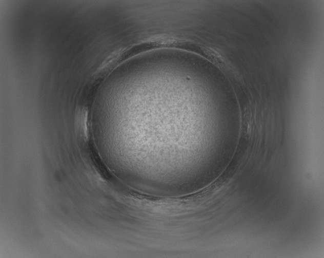 X0000051900024200507011519