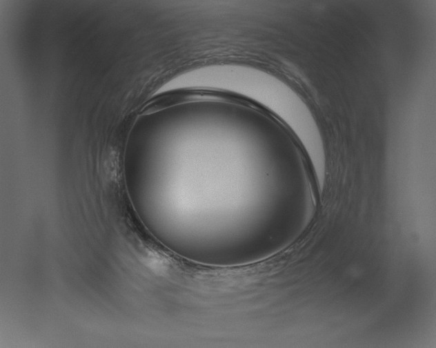 X0000051900025200507011519