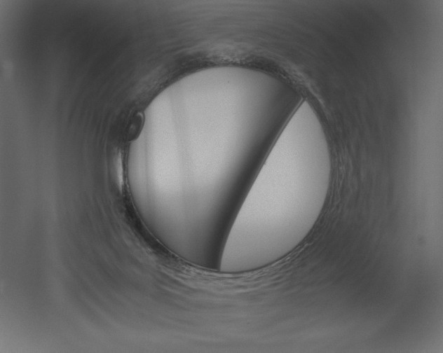 X0000051900027200507011519