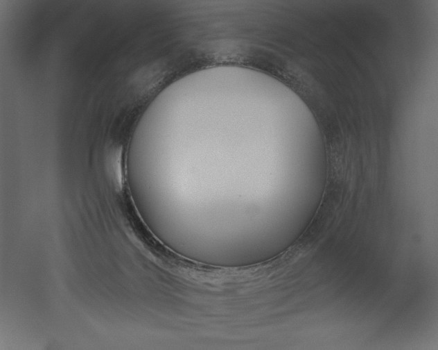 X0000051900028200507011519
