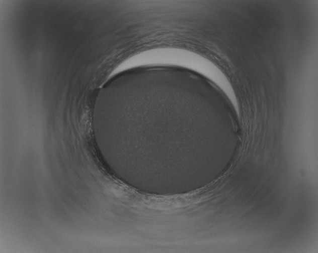 X0000051900029200507011519