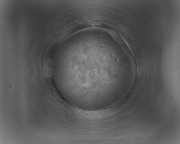 X0000051900030200507011519