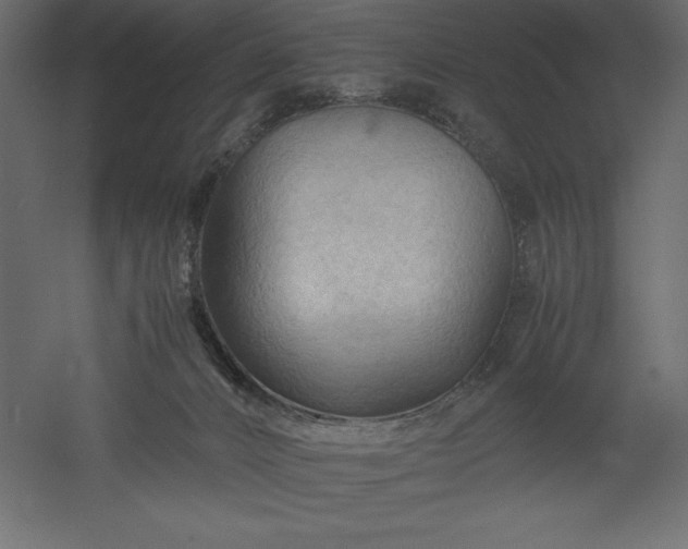 X0000051900032200507011519