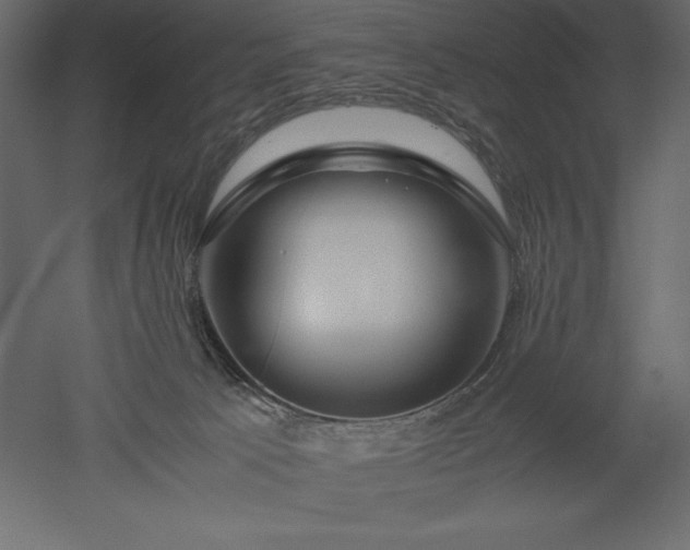 X0000051900033200507011519
