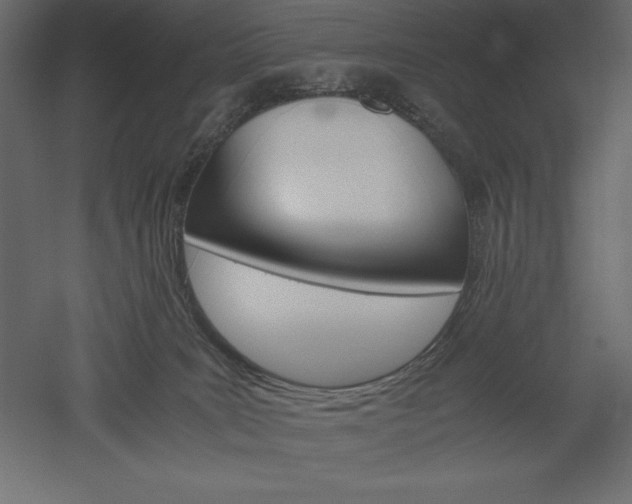 X0000051900035200507011519