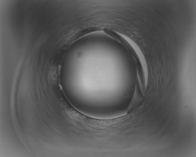 X0000051900037200507011519