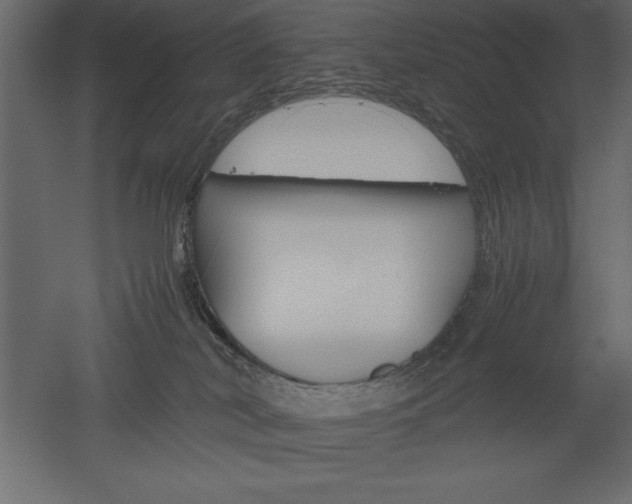 X0000051900038200507011519