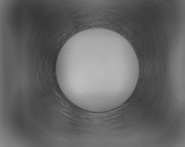 X0000051900039200507011519