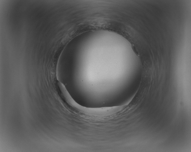 X0000051900040200507011519