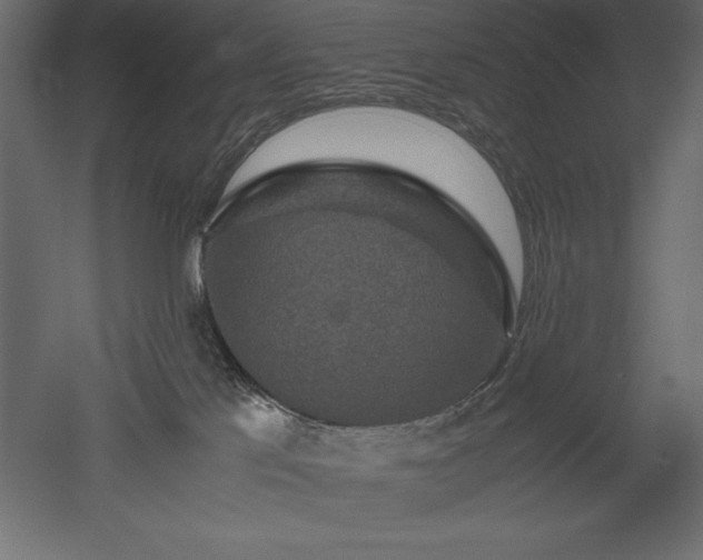 X0000051900041200507011519