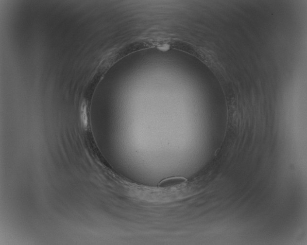 X0000051900042200507011519