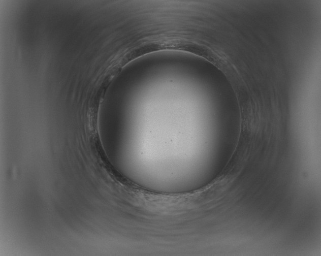 X0000051900044200507011519