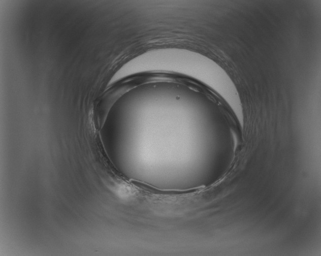 X0000051900045200507011519