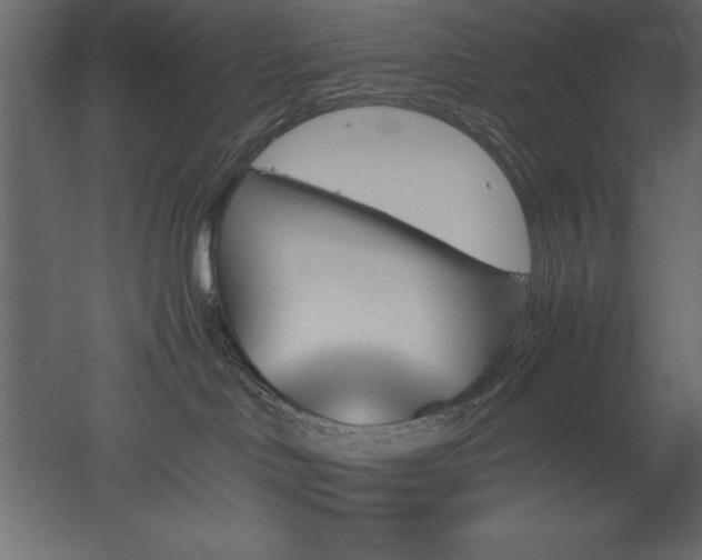 X0000051900046200507011519