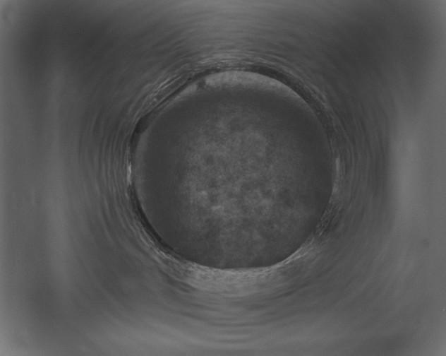 X0000051900048200507011519