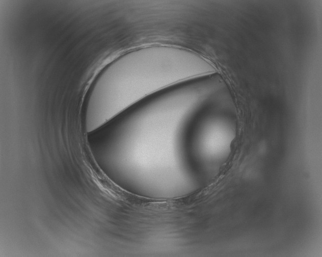 X0000051900050200507011518