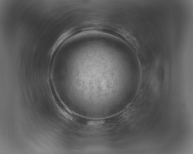 X0000051900051200507011518