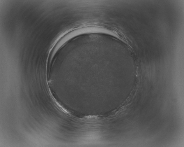 X0000051900052200507011518