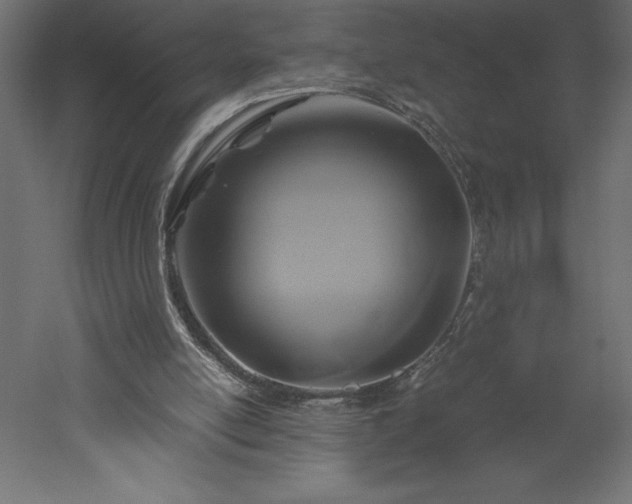 X0000051900054200507011518