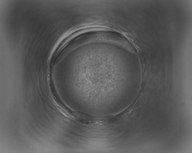 X0000051900056200507011518