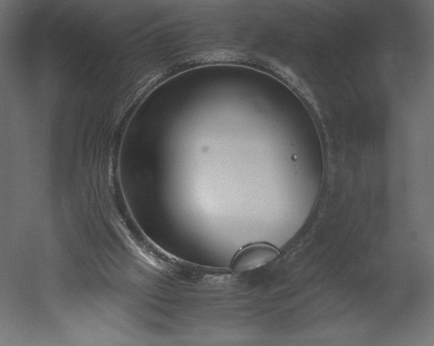 X0000051900057200507011518
