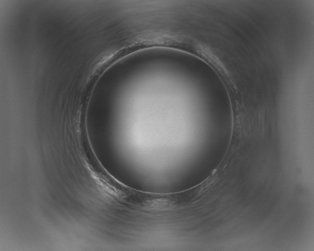 X0000051900058200507011518