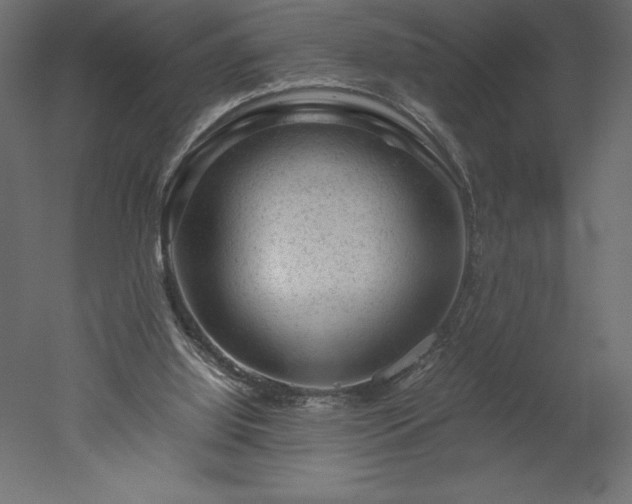 X0000051900060200507011518
