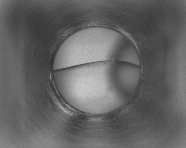 X0000051900061200507011518