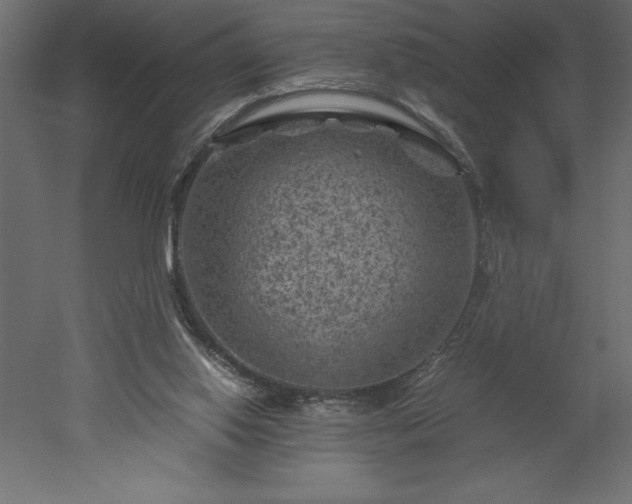 X0000051900062200507011518